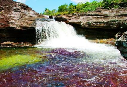 Caño Cristales wajahat22-2-2013 (